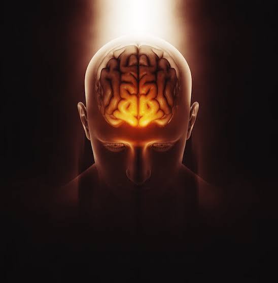 IMAGEN MENTALIDAD(CEREBRO BRILLANTE)